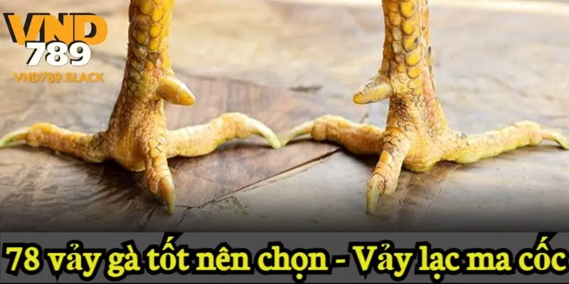 78 vảy gà tốt nên chọn - Vảy lạc ma cốc