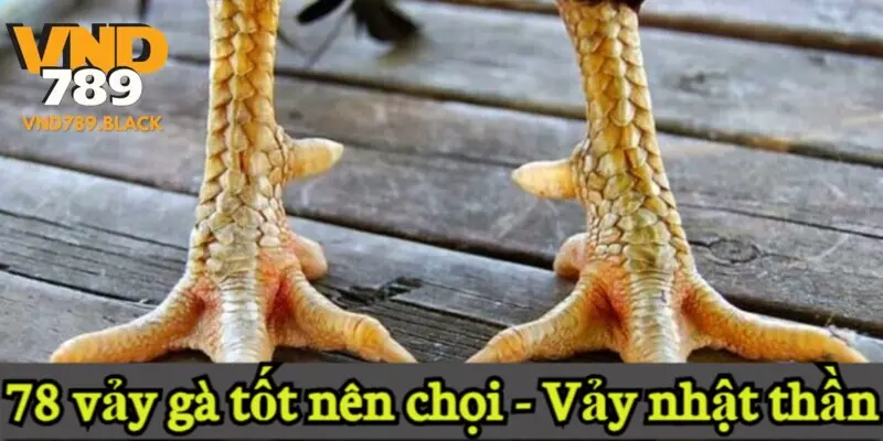 78 vảy gà tốt nên chọi - Vảy nhật thần