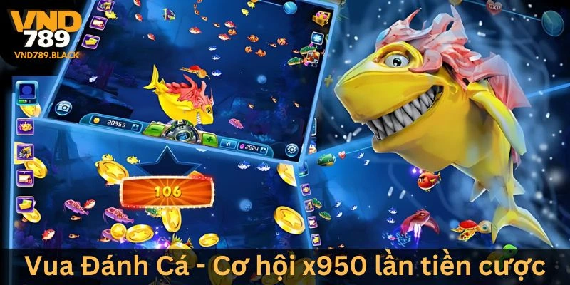 Tham gia Vua Đánh Cá thu về x950 lần tiền cược