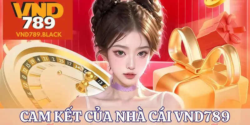 Cam kết nhà cái VND789 dành cho hội viên là gì?