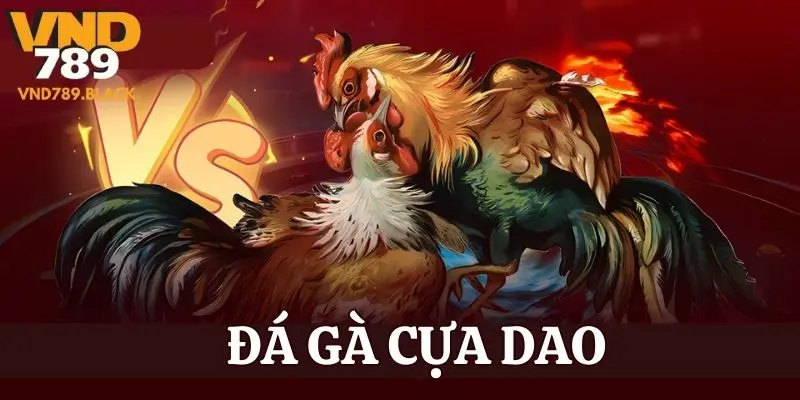 da ga cua dao