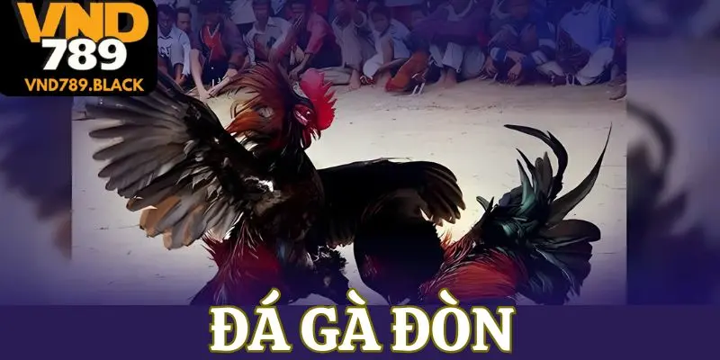 da ga don vnd789