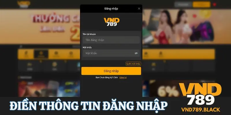 Người chơi cần nhập thông tin chuẩn xác khi đăng nhập VND789