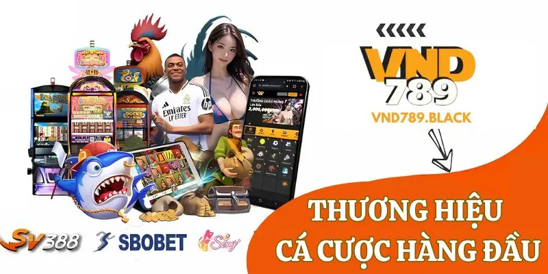 Thương hiệu VND789 cần phải được mở rộng và phát triển