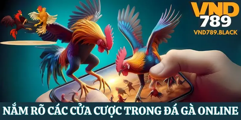 Nắm rõ các cửa cược là cách đá gà mạng luôn thắng hiệu quả