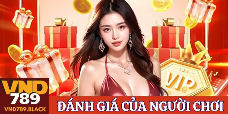 Đánh giá của người chơi về thương hiệu VND789 