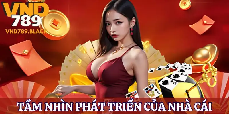 Những tầm nhìn trong dài hạn của thương hiệu VND789